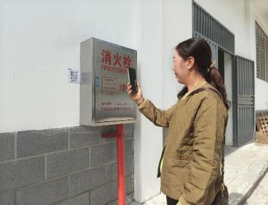 红金龙(软福瑞)总仓批发，红金龙(软福瑞)价钱批发