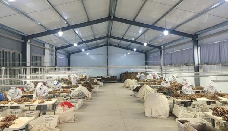 龙烟(冰雪)多少钱一包？龙烟(冰雪)香烟正品价格表 