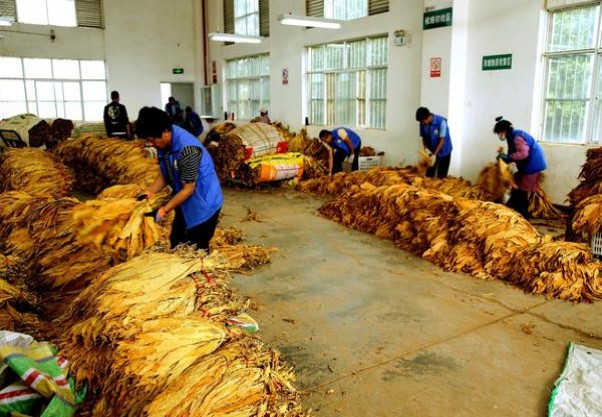 紫气东来(六合同春)价格表图一览表 紫气东来(六合同春)图片及价格 