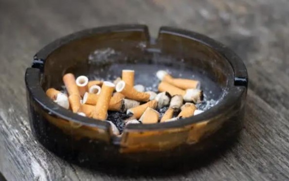 深度解析！红旗渠嘉年华批发渠道订货指南及操作手册
