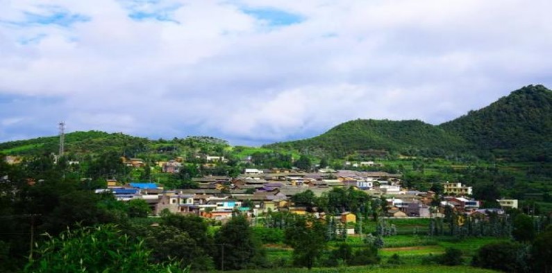 中南海(硬1mg出口日版)价格表一览 中南海(硬1mg出口日版)价格查询 