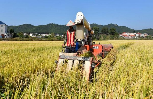 兰州(六味)批发价格，兰州(六味)多少钱一包2024？