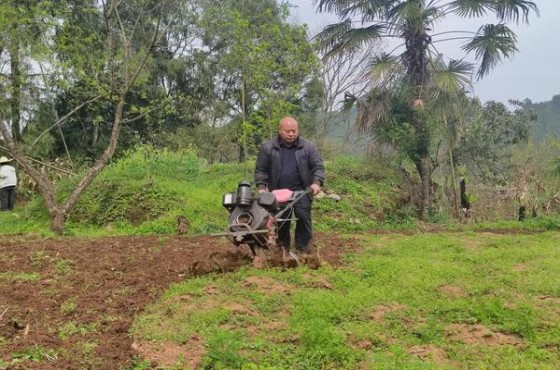 登喜路(ONE日版)一手批发，登喜路(ONE日版)价钱批发