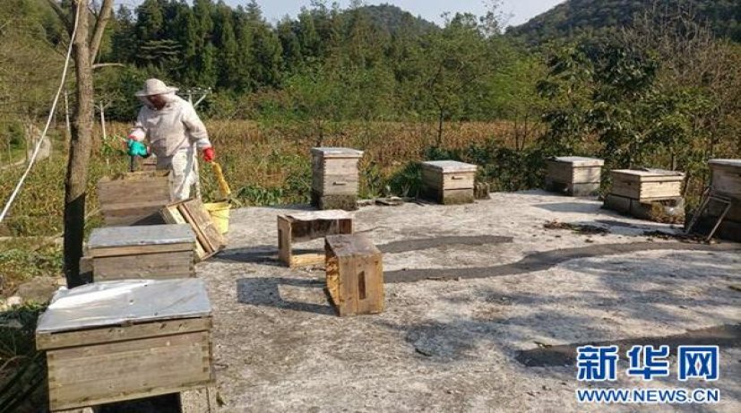 重大新闻！网上购买雪茄“礼贤下士”