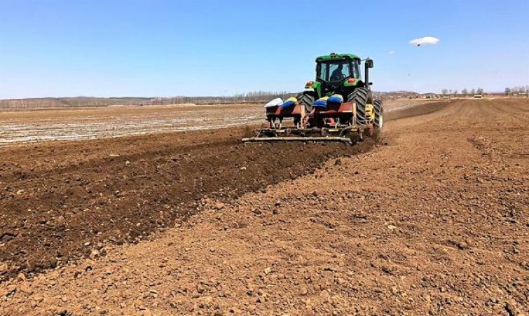 来袭！如何合法售卖外国烟“春光明媚”