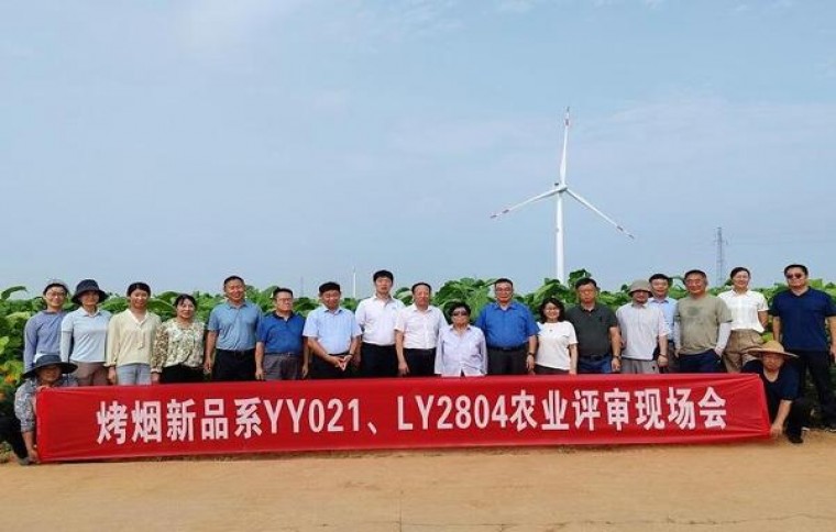 深度解析！古田红军灰香烟的市场价格解析