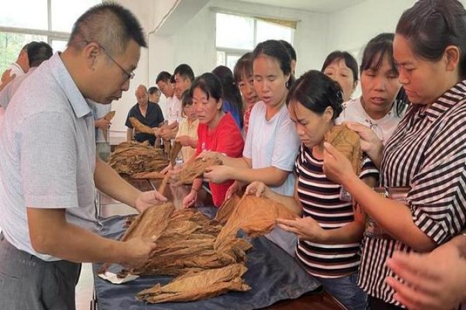 双喜(鸿喜)香烟价格 双喜(鸿喜)价格表和图片 