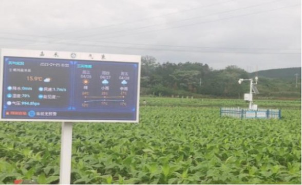 GEM(HONGHUA硬黄LA)价格表和图片 GEM(HONGHUA硬黄LA)价格表一览 