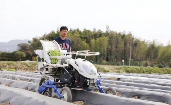 贵烟(福天下)多少钱一盒？贵烟(福天下)多少钱一包2025？