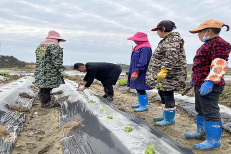 独家报道！香烟批发的一手货源首选“千虑一失”
