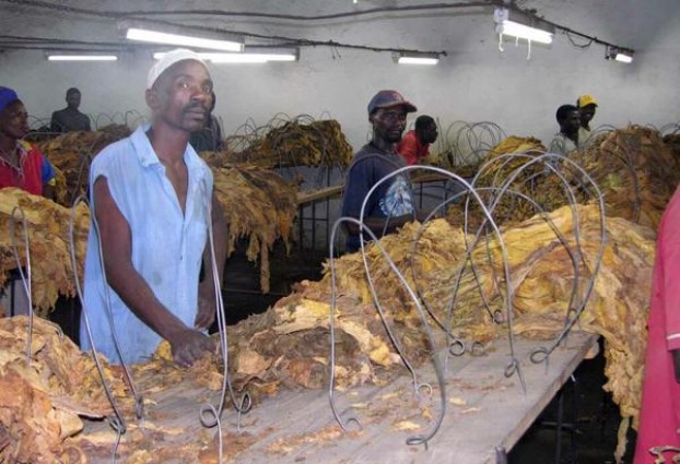 新消息！福建云霄香烟批发联系微信“与时俱进”