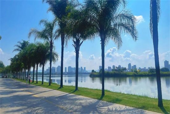 BOHEM(6mg)总仓批发，BOHEM(6mg)多少钱一包2024？