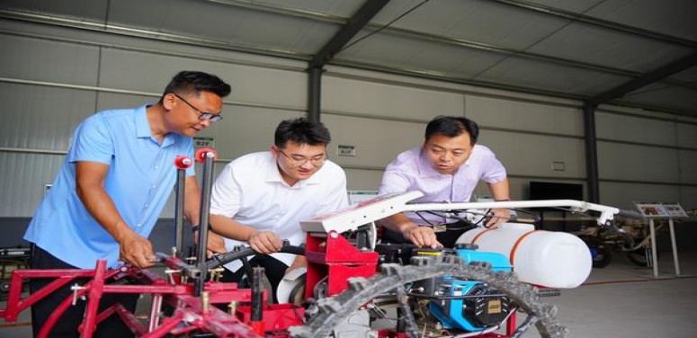 揭秘！黄金叶天香新香烟货源地址一览