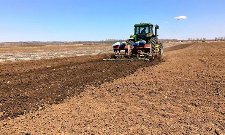 ESSE(black)香烟价格 ESSE(black)价格查询 