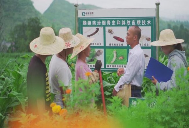 云斯顿哈密瓜薄荷5mg日版香烟价格表2024 云斯顿哈密瓜薄荷5mg日版香烟价格表2024 