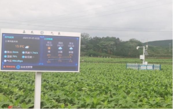 破天荒！云霄香烟一手货源价格“芬兰迷凉”