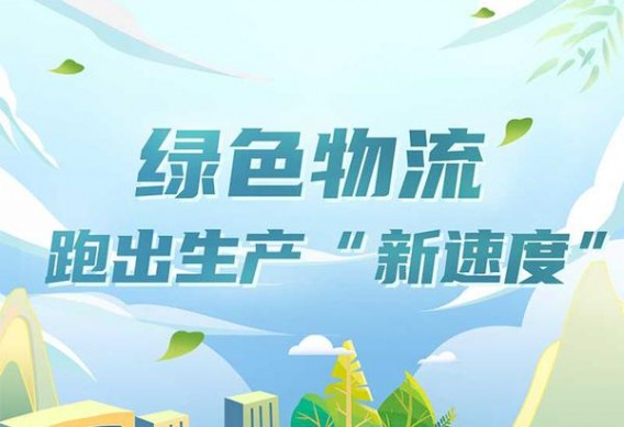 小熊猫(精品塑盒装)图片及价格 小熊猫(精品塑盒装)价格查询 