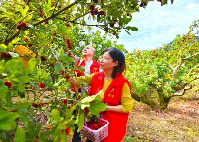 520(薄荷)一手价格，520(薄荷)多少钱一盒？