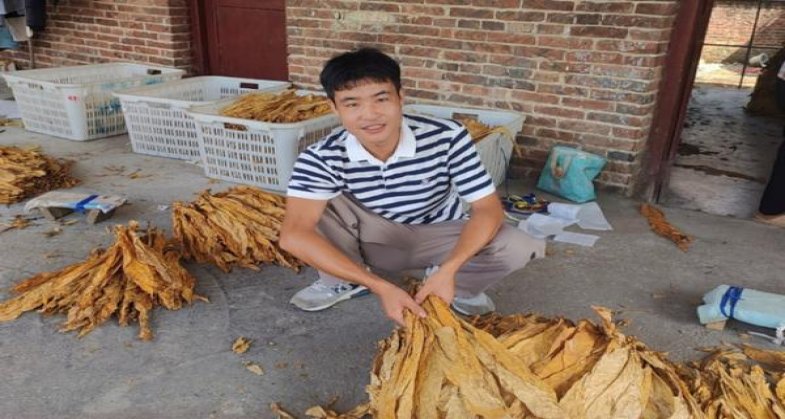 细探！大卫杜夫普通装香烟的市场价格解析