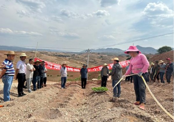 终于发现！靠谱微信卖烟的联系方式“失之交臂”