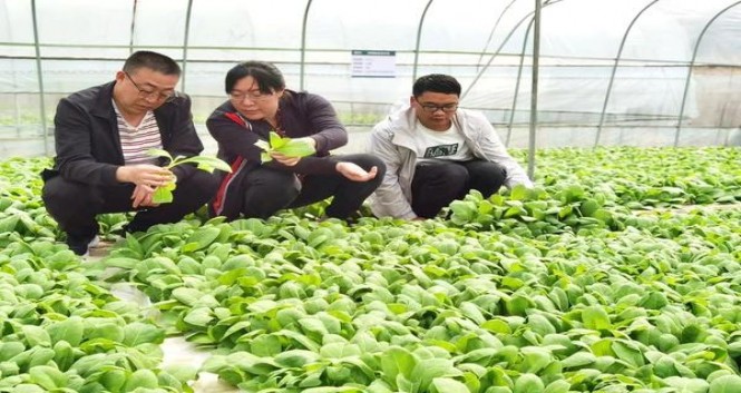 贵烟(贵中支)香烟正品价格表 贵烟(贵中支)香烟价格 