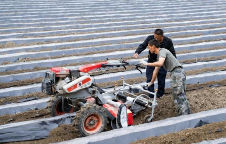 破天荒！国外代工厂烟是真的吗“高山景行”