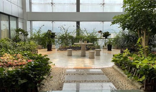 阿里山印象蜂王浆爆珠什么价格？阿里山印象蜂王浆爆珠批发价格是多少？