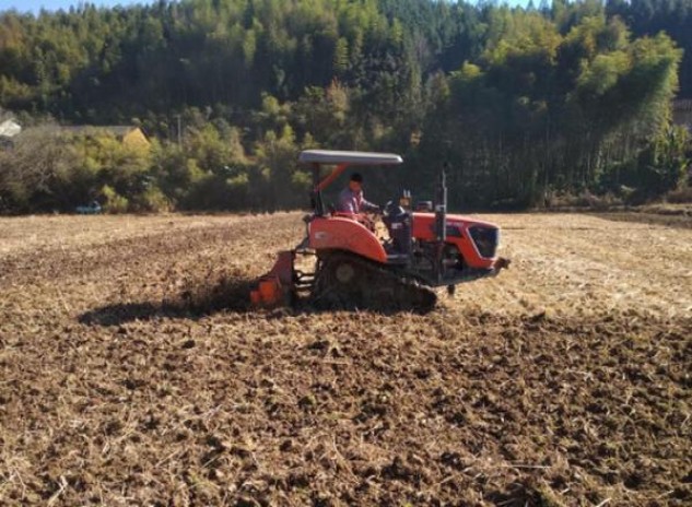 熊猫(双中支)什么价格？熊猫(双中支)香烟正品价格表 