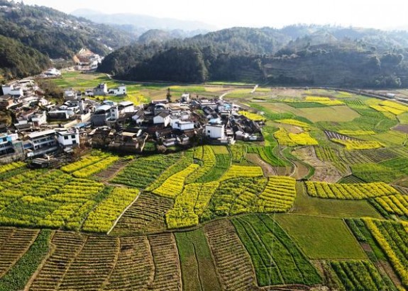 玉溪软境界2019金猪纳福特别版价格查询 玉溪软境界2019金猪纳福特别版价格表和图片