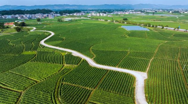 达契亚(软包)什么价格？达契亚(软包)图片及价格查询