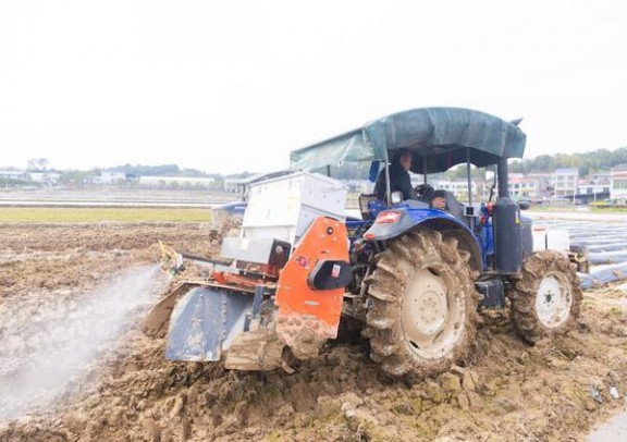 来袭！免税香烟怎么看出厂日期“慷慨就义”