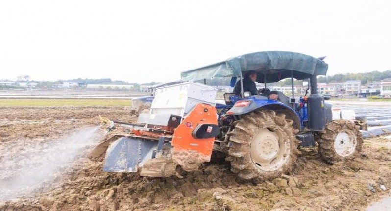 贵烟(国酒香·30香港版)拿货价格，贵烟(国酒香·30香港版)价钱批发