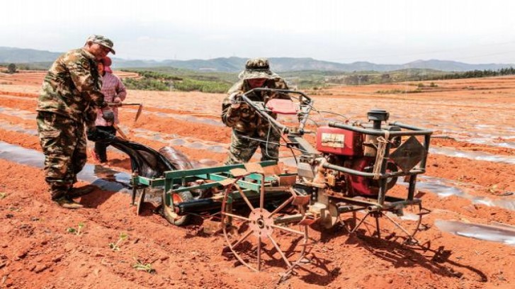 深度解析！玉兰银香烟的市场现状