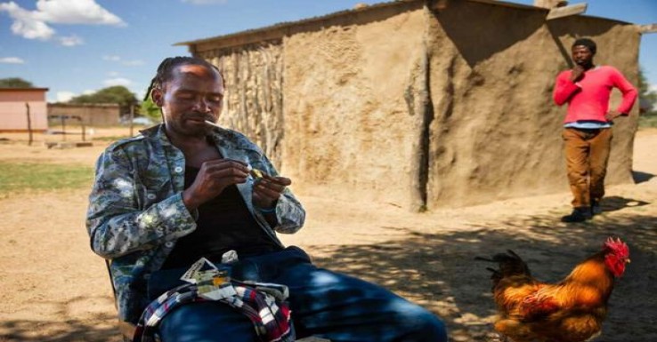 云斯顿(咖啡巧克力俄罗斯版)厂家批发，云斯顿(咖啡巧克力俄罗斯版)多少钱一包？