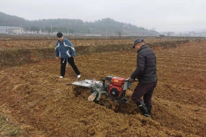 内幕！云霄高仿烟联系方式“狼心狗肺”