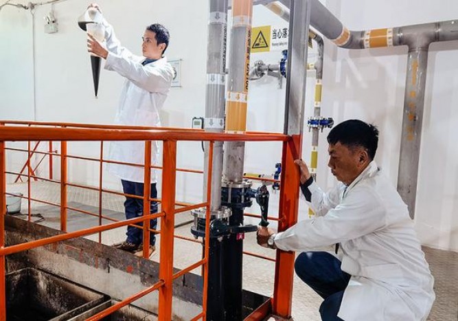 真龙(赞歌)香烟价格 真龙(赞歌)图片及价格 