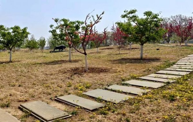 万宝路(软红100s美国免税)价格表一览 万宝路(软红100s美国免税)价格查询 