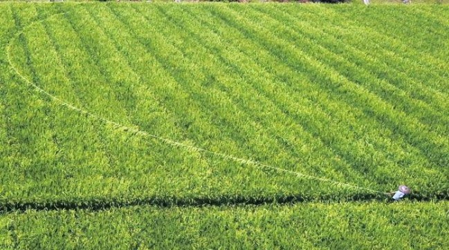 DJ Mix(蓝波)什么价格？DJ Mix(蓝波)批发价格是多少？