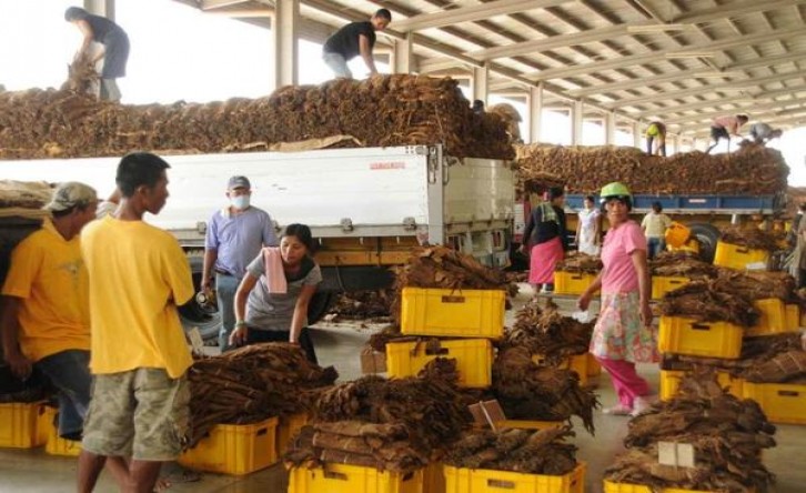 万宝路(薄荷硬8mg日版)厂家渠道，万宝路(薄荷硬8mg日版)价格表一览