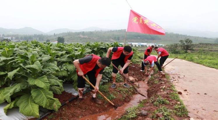 和天下(尊尚中支)批发价格是多少？和天下(尊尚中支)价格表图一览表 