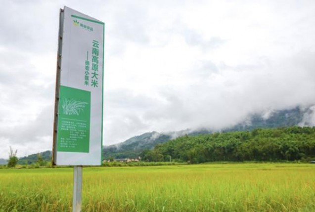 黄山(天高云淡细支)多少钱一包？黄山(天高云淡细支)价格查询 