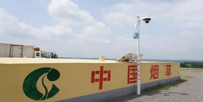 头条！香烟代购群“狼吞虎咽”