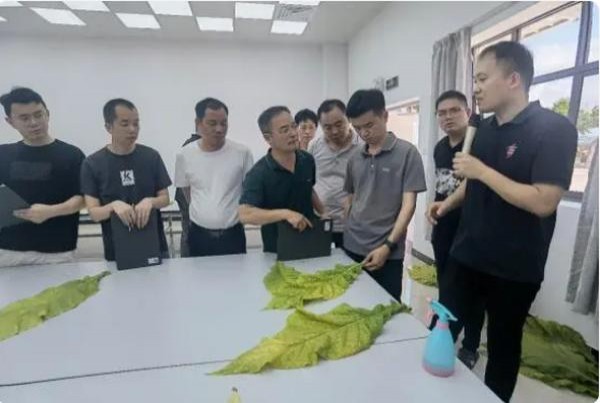 阿尔达无嘴多少钱一盒2024？阿尔达无嘴多少钱一盒？