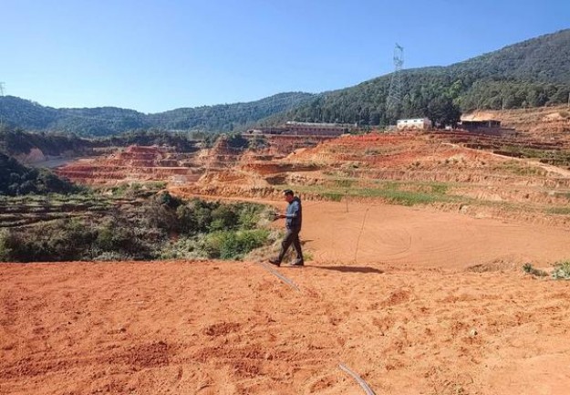 娇子(金格调)厂家价格，娇子(金格调)批发价格是多少？