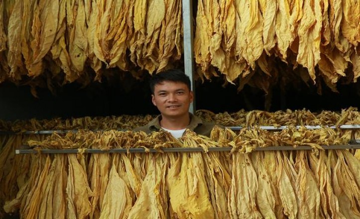 深入解析！兰州硬珍品云霄烟选购全攻略,品牌甄选与安全购买指南