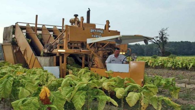 云斯顿(硬红经典港免版)价格表图一览表 云斯顿(硬红经典港免版)多少钱一包？