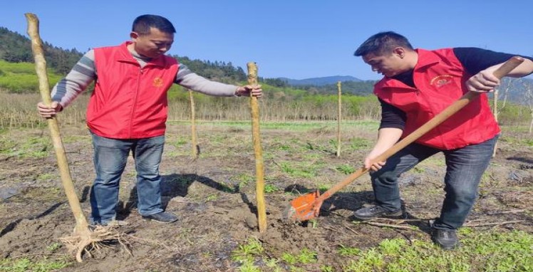 爱喜(EDGE尼日利亚版)多少钱一包2025？爱喜(EDGE尼日利亚版)价格表和图片 