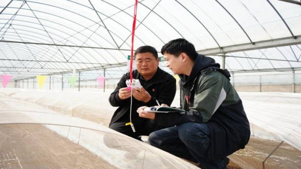 深度解析！黄鹤楼天下胜景香烟的批发奥秘