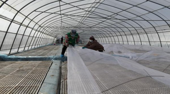 来袭！正品非高仿香烟货到付款“扬眉吐气”