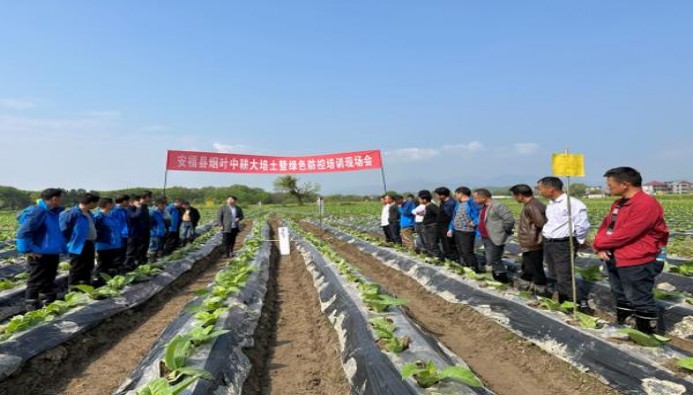 终于发现！香烟批一手货源网站“无精打采”